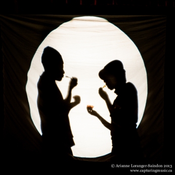 Mind of a Snail, Shadow Puppetry, ArtsWells, 2013