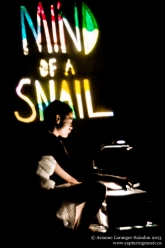 Mind of a Snail, Shadow Puppetry, ArtsWells, 2012